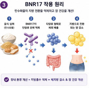 비에날17-유산균-효능-후기-효과-복용법-섭취방법