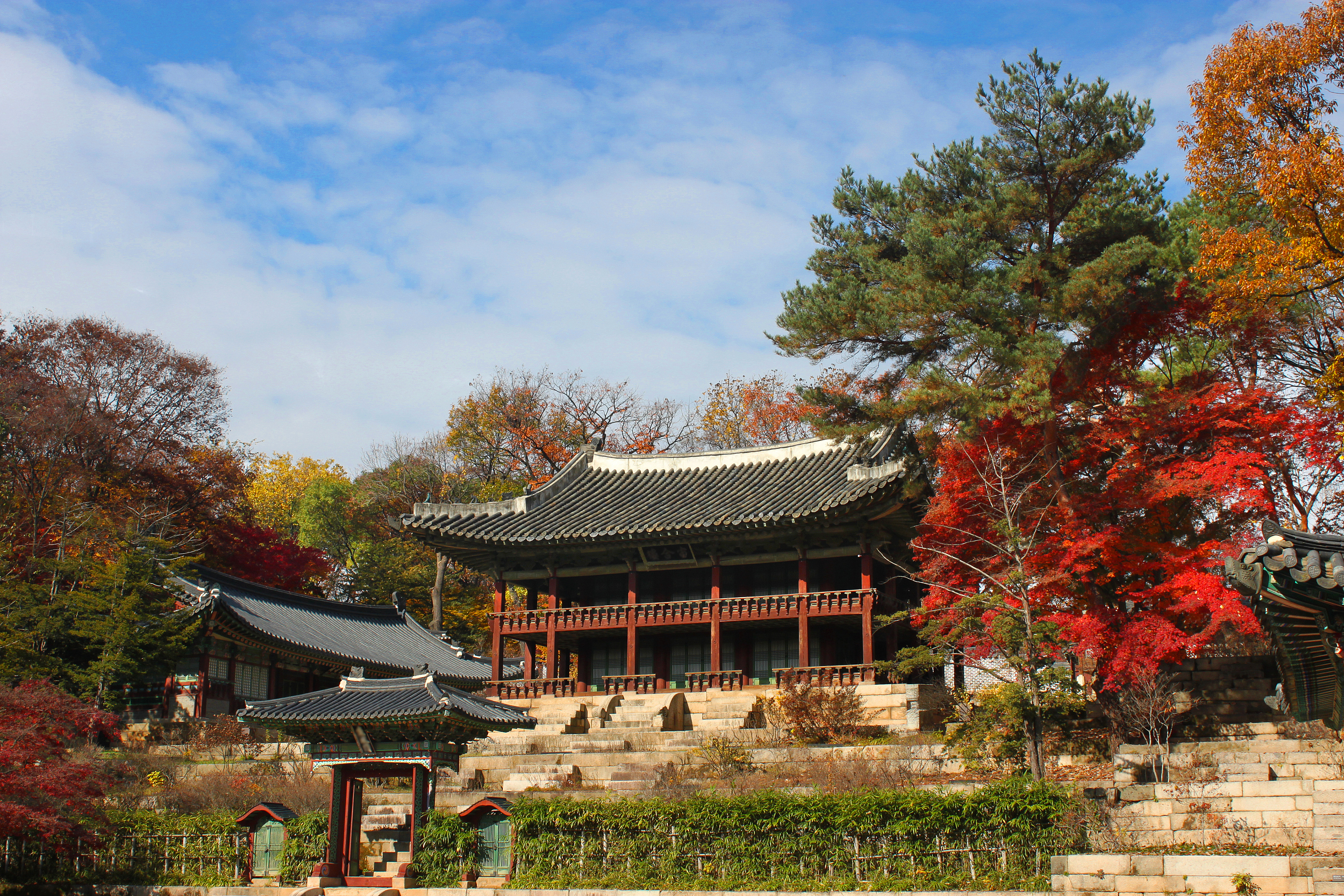 2023-서울-단풍명소