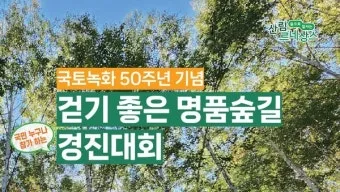 걷기좋은 명품 숲길 30선 숨겨진 코스_7