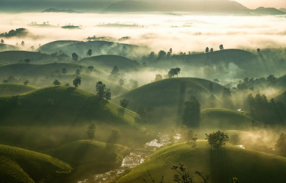 발해 고분 벽화에 나타난 당 문화의 영향과 독자성