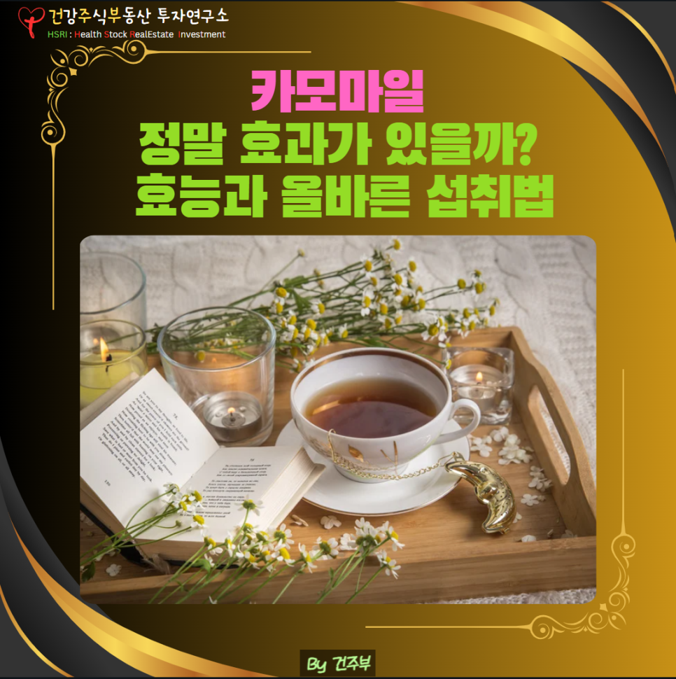 카모마일 효능과 올바른 섭취법
(글 그림 : 건주부, 그림 출처 : Canva)