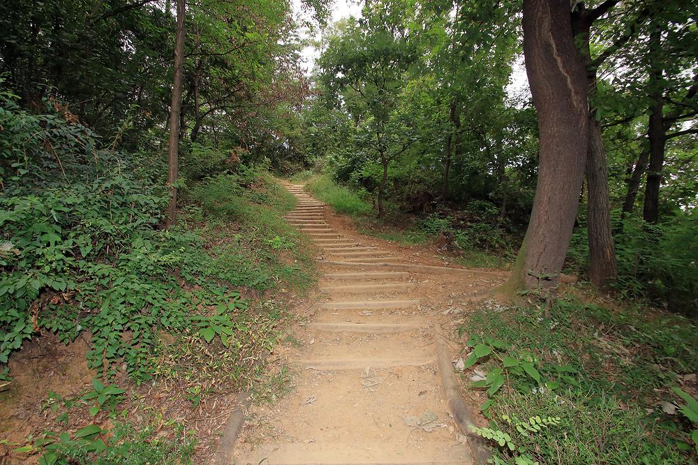 경기도 광명도덕산캠핑장