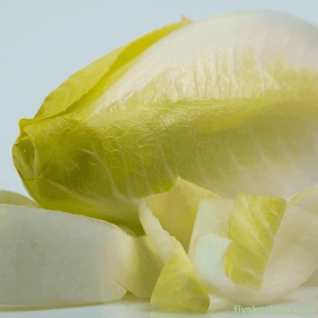 노폐물 배출에 효과적인 엔다이브