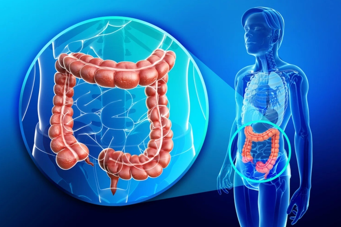 대장내시경 비용 시간 전후 음식