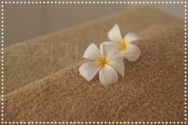 2025년 무직자 정부 지원 정책 완전정리