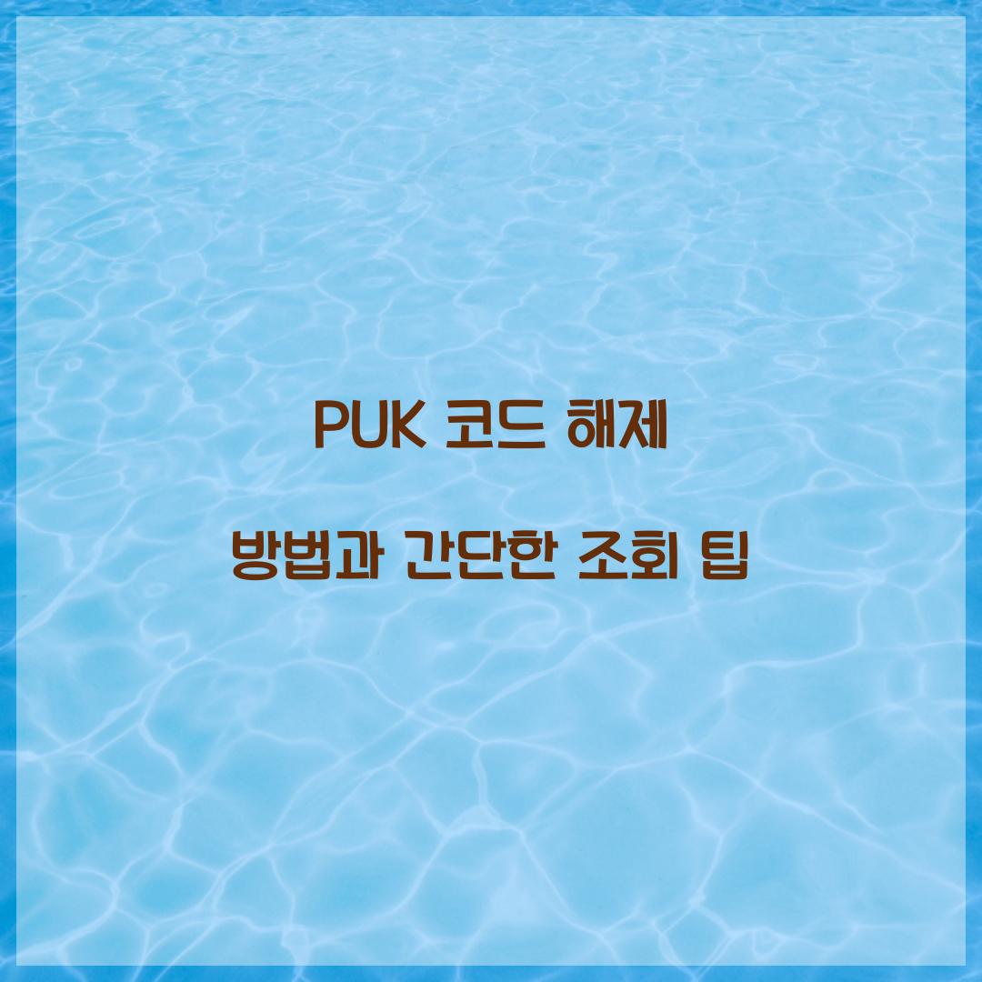 PUK 코드 해제 방법