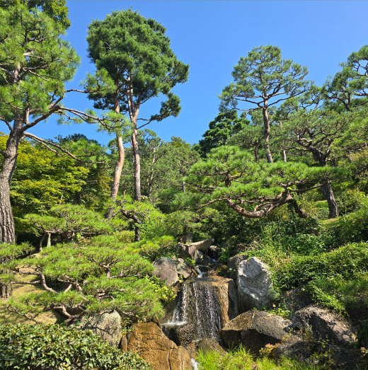 화담숲 모노레일 예약 예매