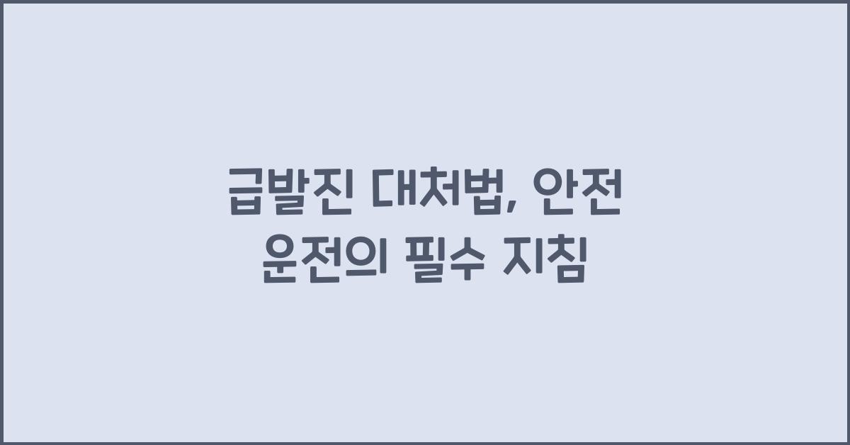 급발진 대처