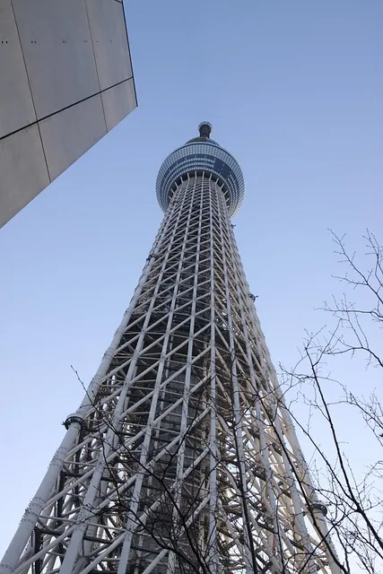 2025 도쿄 스카이트리에서 만나는 픽사 명작 토이 스토리 특별 전시 이벤트 안내_8