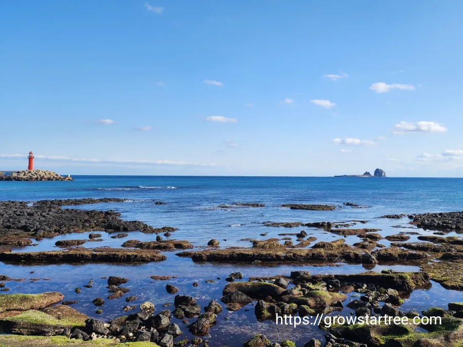 사계해변 등대와 형제섬