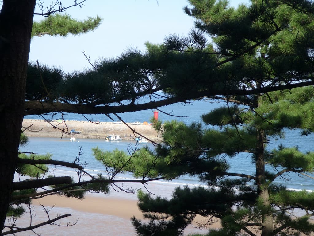 태안 만리포 해변 전경