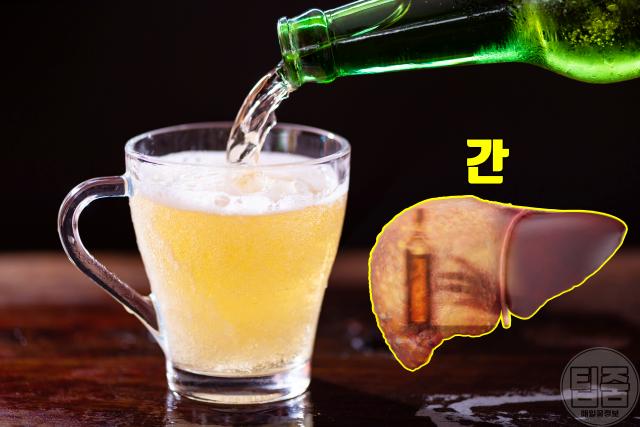 감기약 먹을때 피해야할 음식 맥주 술