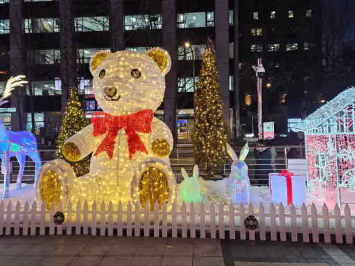 겨울가볼만한곳-서울빛축제곰