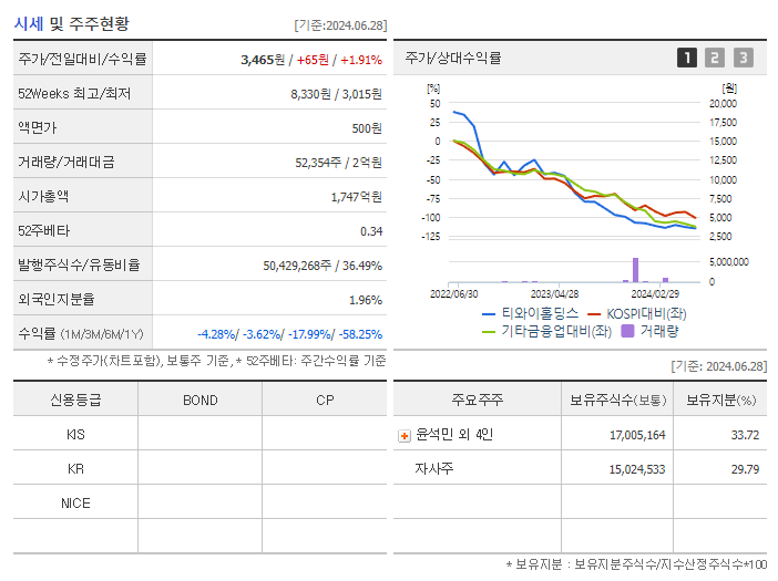 티와이홀딩스_기업개요