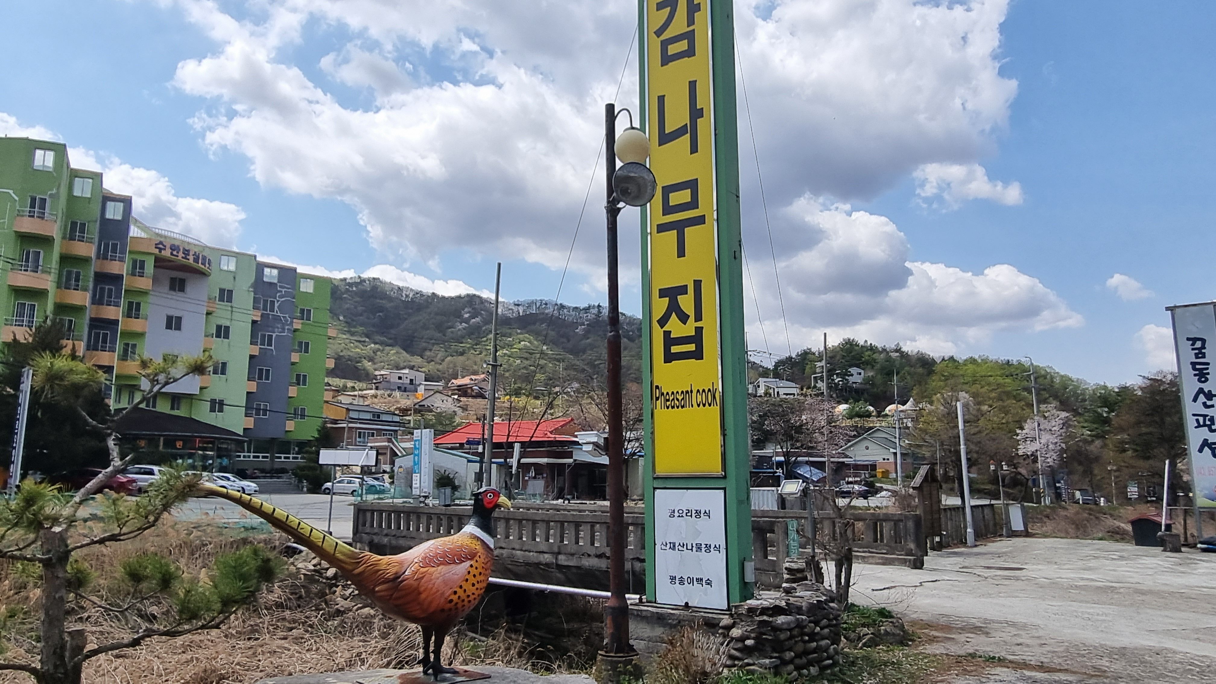 충주 수안보 감나무집