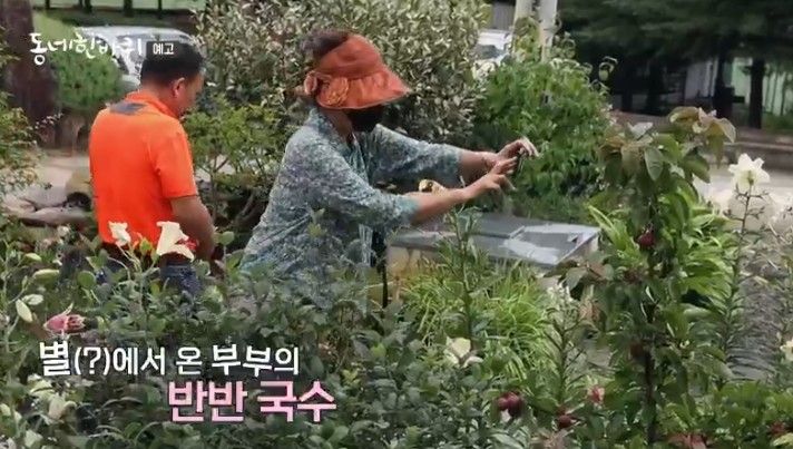 정원이-있는-국숫집