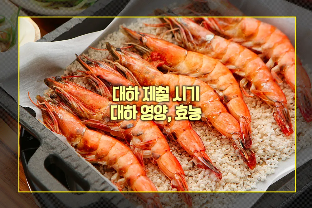 대하 제철 시기 영양 효능