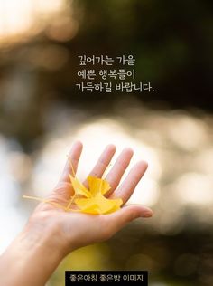 가을이미지