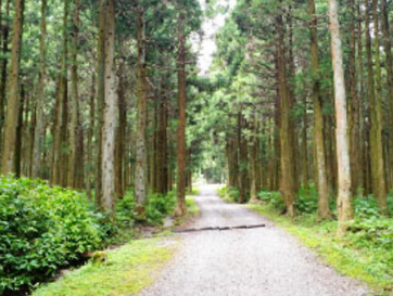 숲나들e 홈페이지 실시간 예약방법