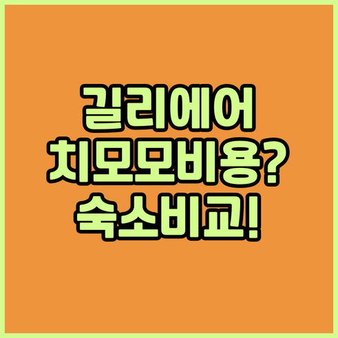 길리 에어 자유여행 치모모 비용 안내..