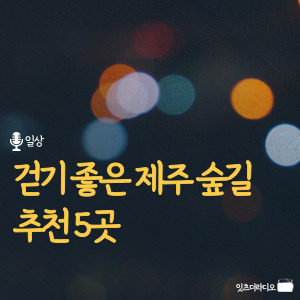 걷기-좋은-제주-숲길-추천-5곳
