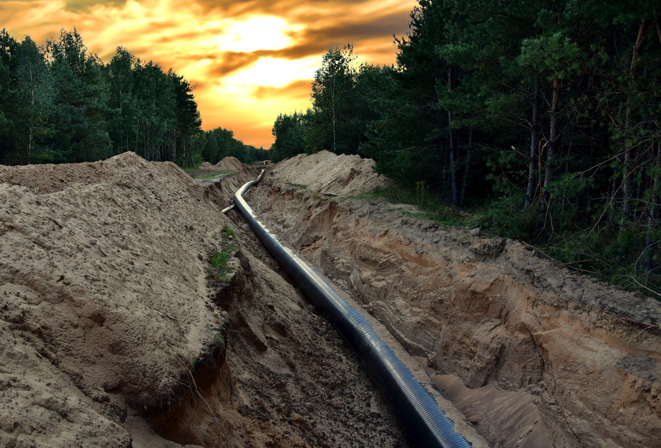 [에너지 위기 유럽] 유럽의회, 원자력&middot;천연가스 택소노미 포함 방안 가결...원전의 복귀 VIDEO: EU Taxonomy: Commission welcomes the result of today's vote by the European Parliament on the Complementary Delegated Act