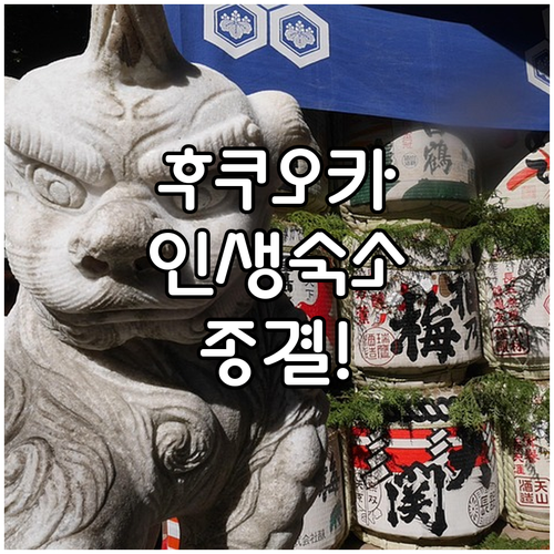 실제 투숙객 만족도 높은 후쿠오카 호..