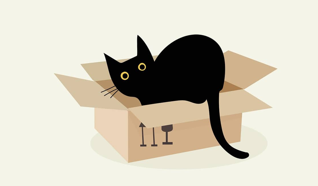 양자역학의 신비 – 고양이는 살아있을까, 죽어있을까?