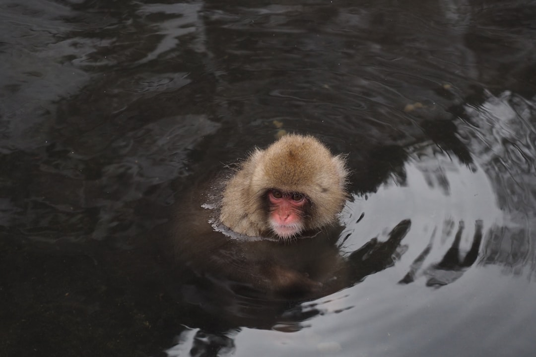 Onsen