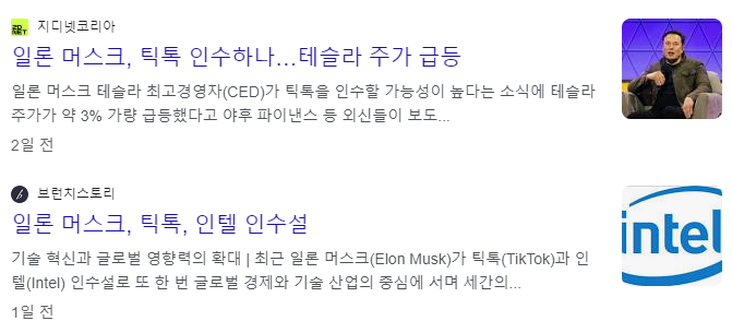 테슬라 틱톡 인수 관련 기사 이미지