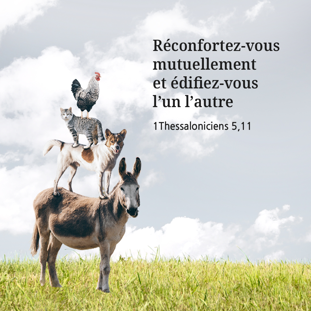 R&eacute;confortez-vous mutuellement et &eacute;difiez-vous l&rsquo;un l&rsquo;autre (1Thessaloniciens 5,11)