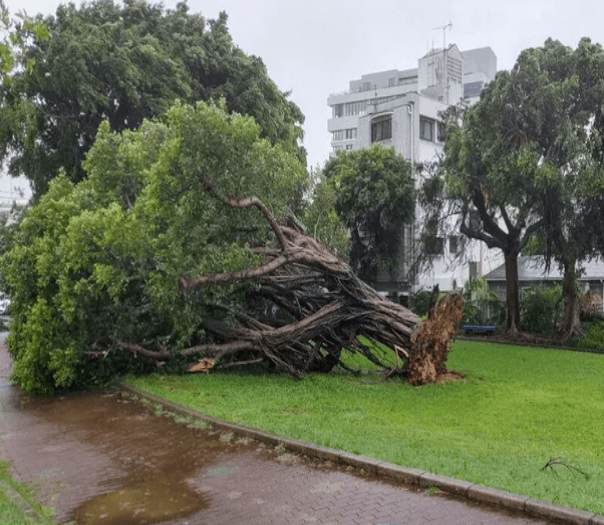 6호 태풍 카눈 피해 상황_일본