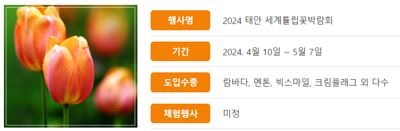 태안 세계 튤립 축제