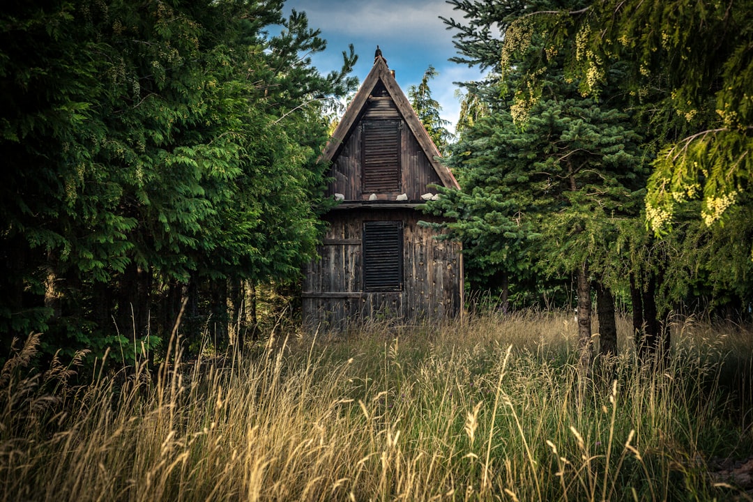 Hidden