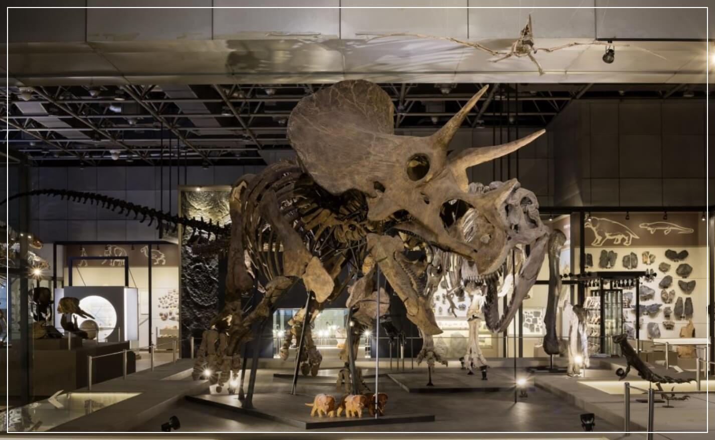 대전 가볼만한곳 베스트10 국립중앙과학관