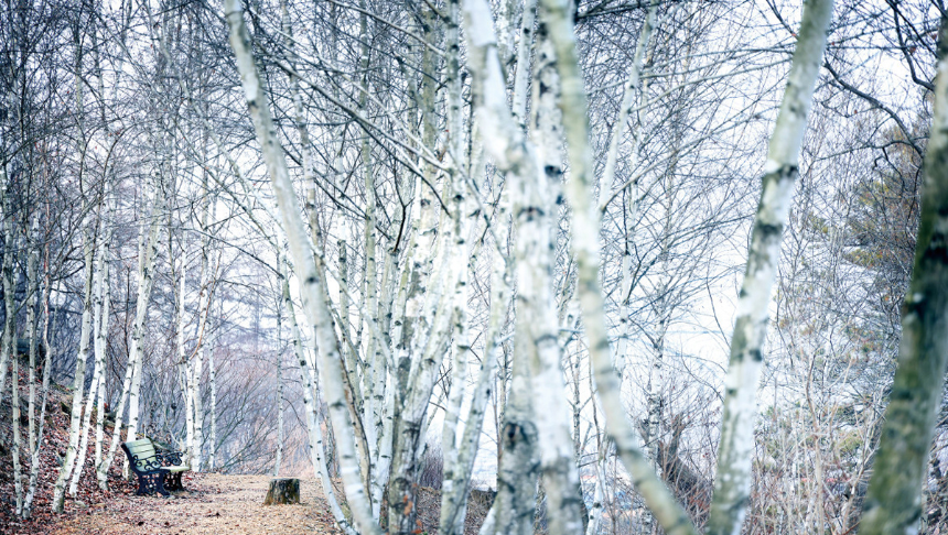 특색 있고 아름다운 민간 정원 30선 추천 여행 - 20. 괴산트리하우스 가든