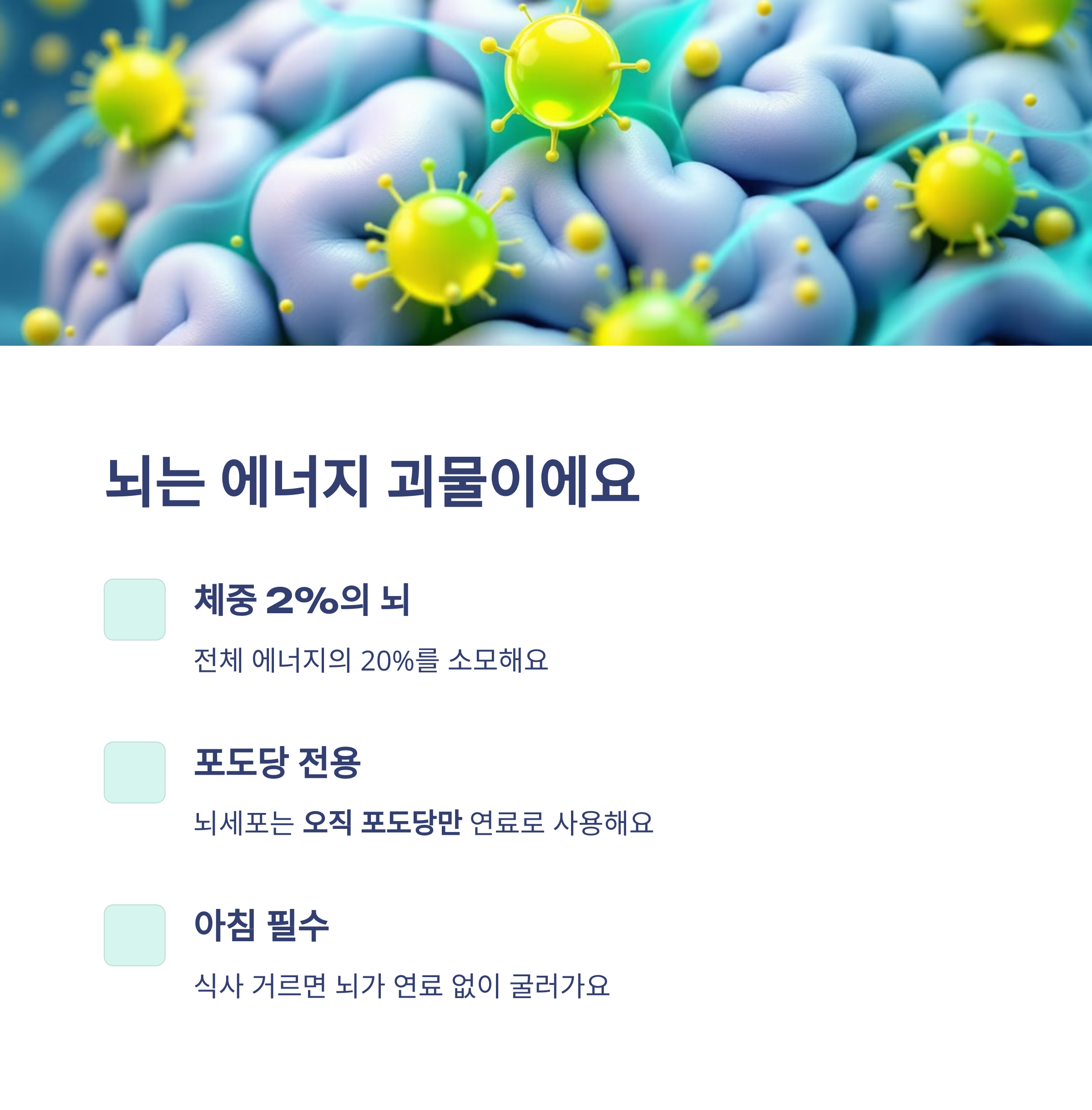 뇌의 주요 에너지원은 무엇일까?