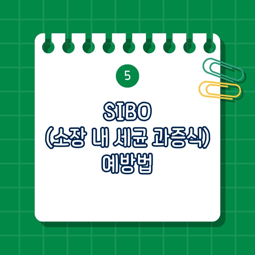 SIBO (소장 내 세균 과증식) 예방법