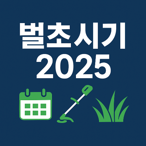 벌초시기 2025