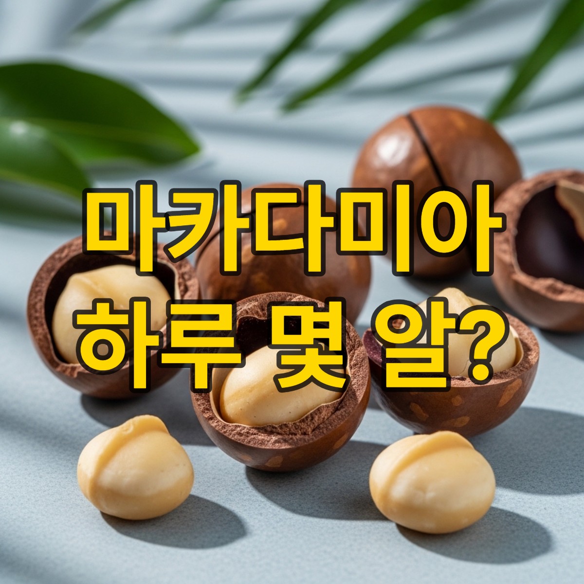 마카다미아 하루 섭취량 현명한 섭취 가이드