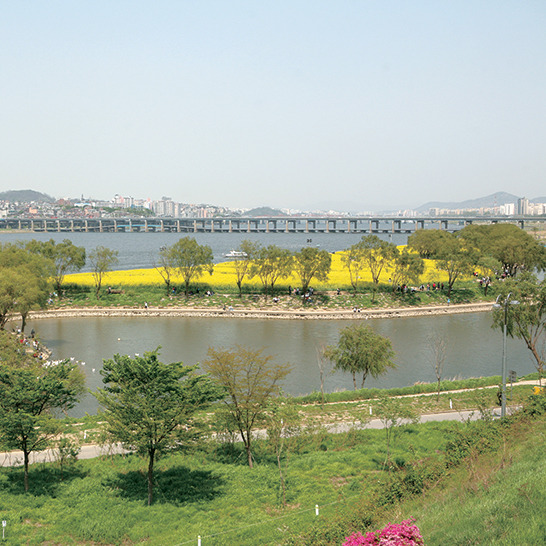 2025 한강야경투어 여의별빛길·반포달빛길 예약 총정리!