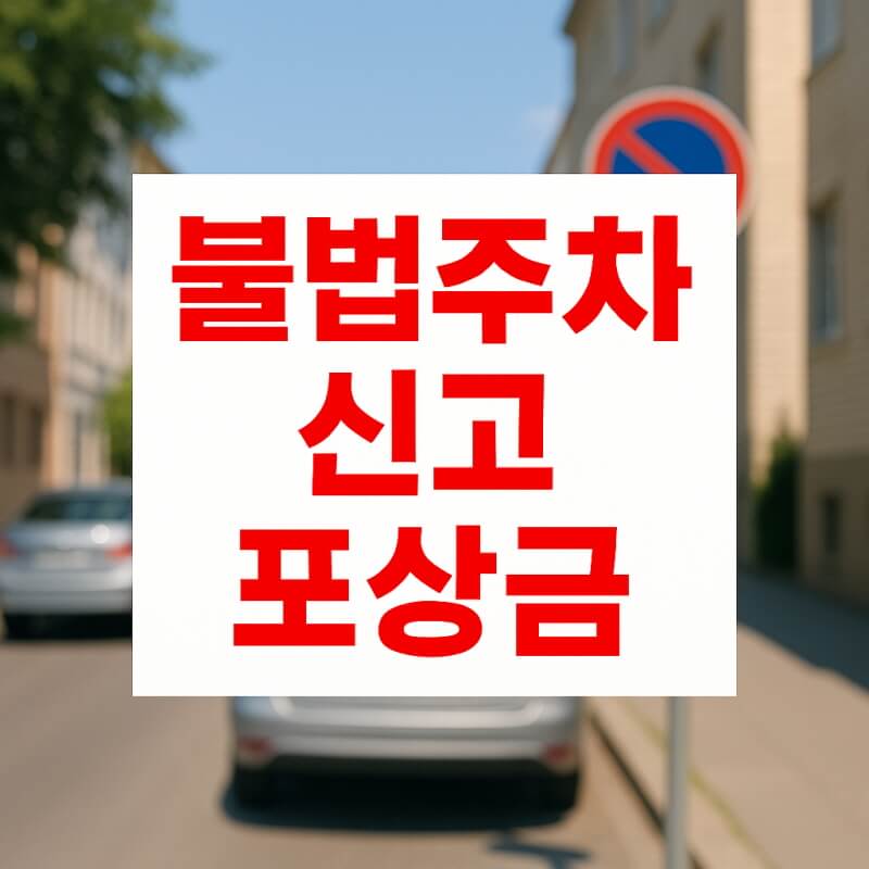 불법주차 신고 포상금 (대상과 조건, 제도, 절차) 관련사진