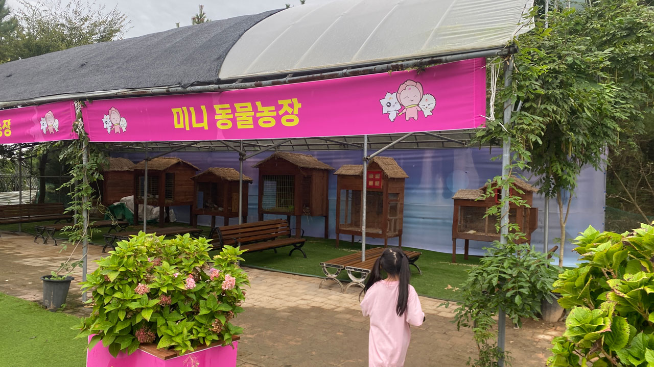태안 가을꽃박람회의 미니 동물농장이 있다.