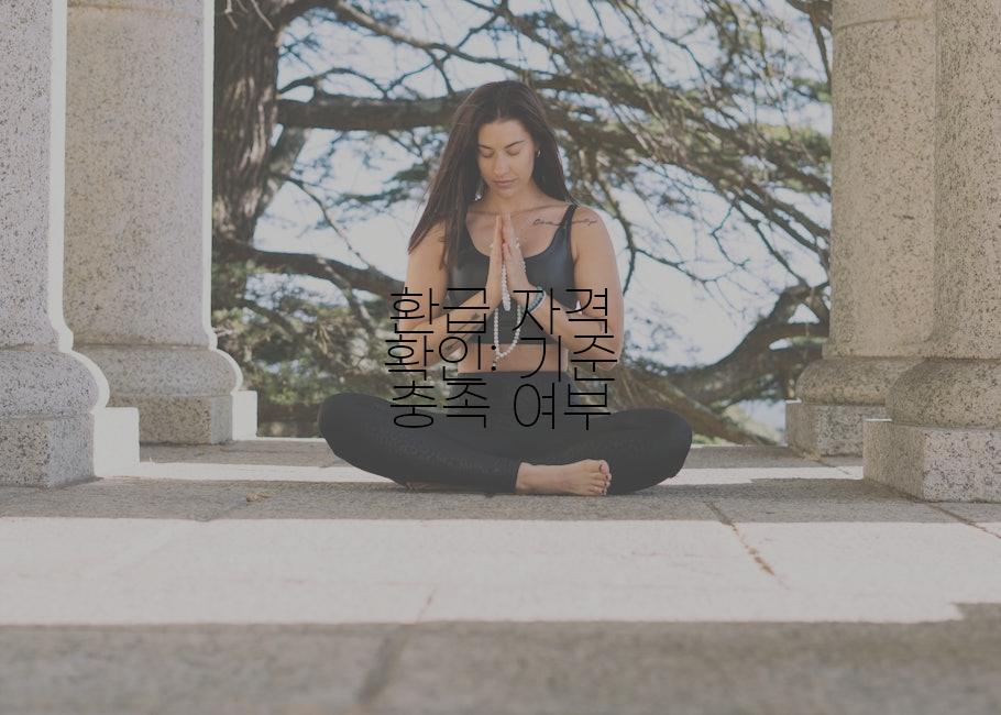 환급 자격 확인: 기준 충족 여부