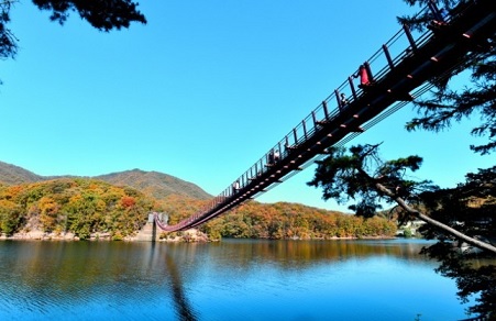 파주 마장호수 출렁다리1