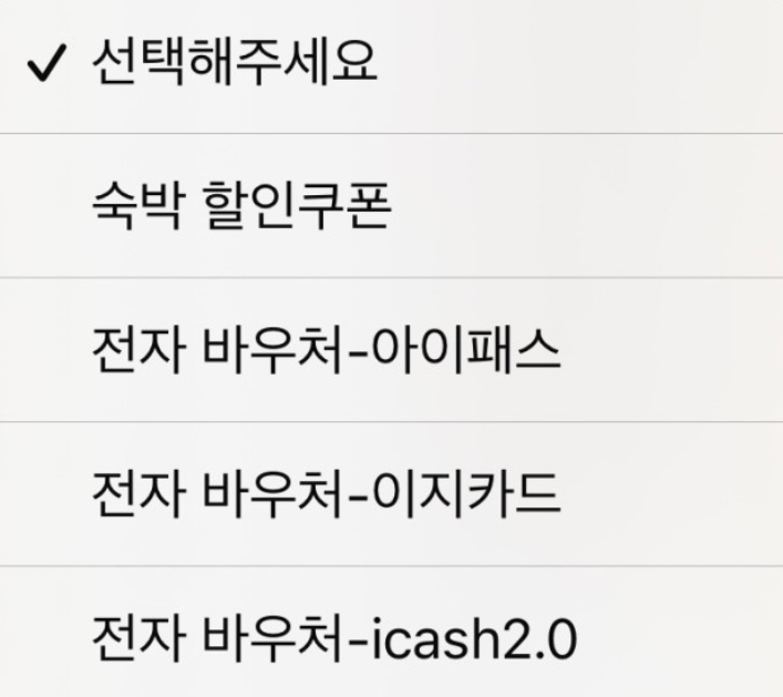 대만 여행지원금 소비지원금 옵션 선택