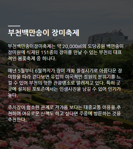 2025 부천 백만송이 장미축제