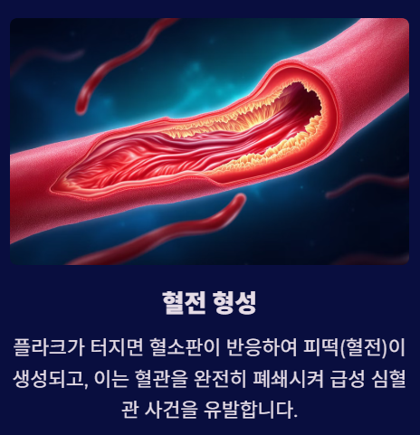 죽상경화가 위험한 이유