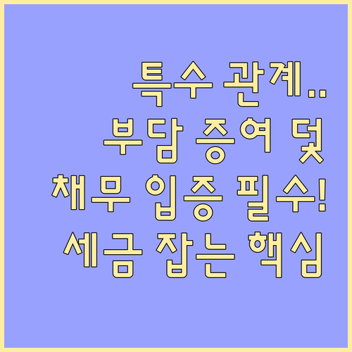 특수 관계인 간 부담부증여 채무 입증..