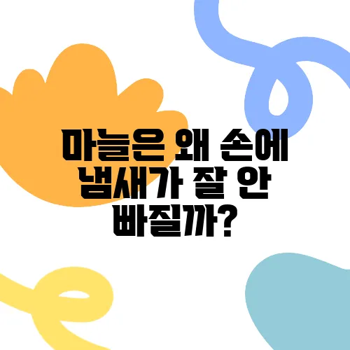마늘은 왜 손에 냄새가 잘 안 빠질까?